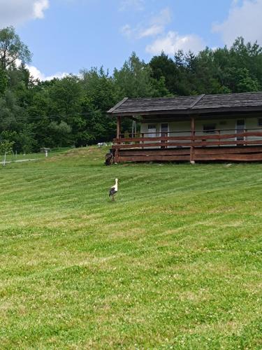 Polana u zwykłego Rafała (Polana u zwyklego Rafala) in LOdzinka Dolna
