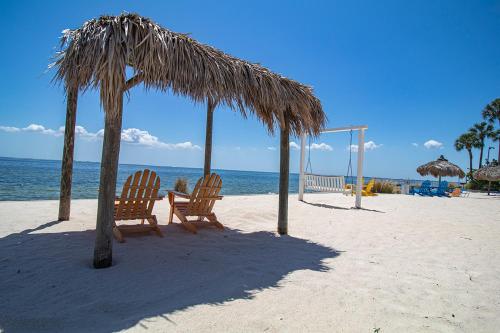 Waterfront, Sunset Views From Balcony, Heated Pool - Tampa, FL