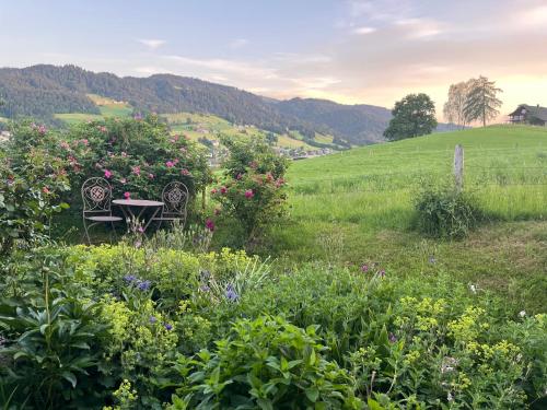 Urlaub in Alberschwende in Alberschwende