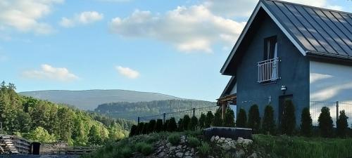 Pine Peak Holiday House Sosnówka (Pine Peak Holiday House Sosnowka) in Sosnowka