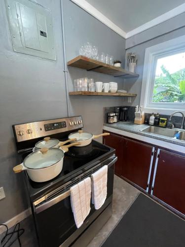 Koko Tree Apartment New Island Stay in Tafuna