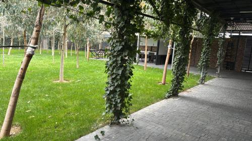 EA vineyard house in Novxanı
