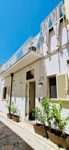  Lunà - Le Dimore - in Canosa di Puglia
