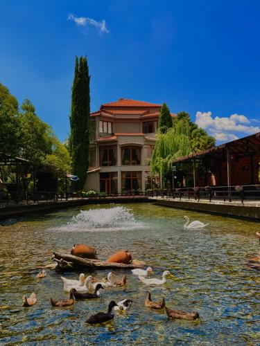 Rritja e Koranit – khách sạn tại Pogradec