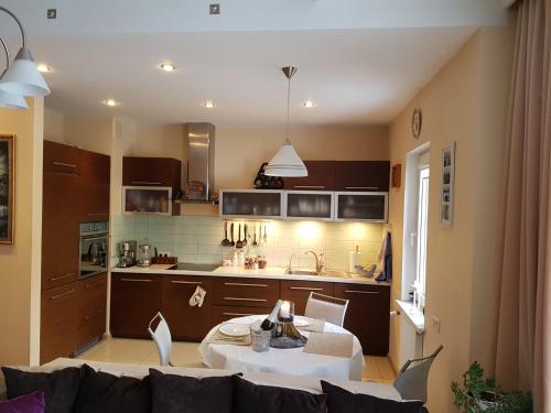 virtuvė, Riga airport Apartment in Riga Airport