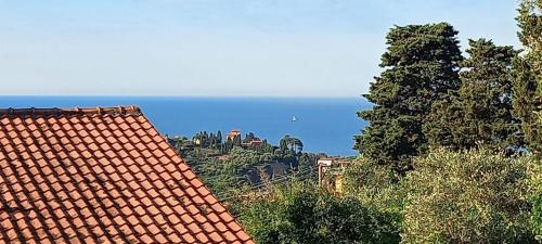 Mare a Svista
