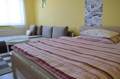 Chess News Apartment