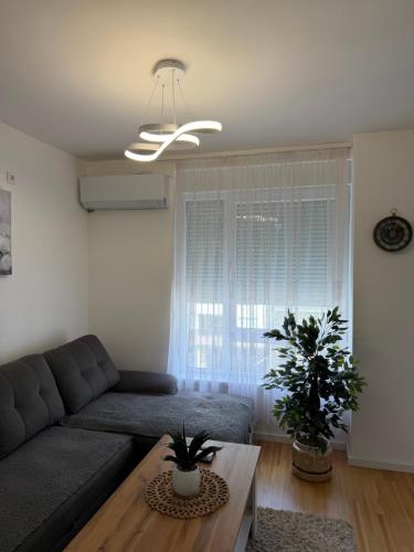 Apartment Sunny