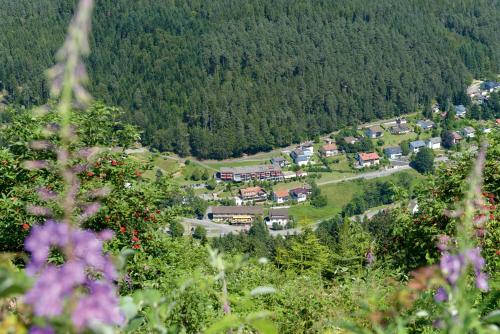 Hotel Waldlust - image 13