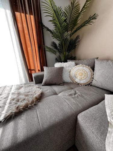 Zlatibor Hills - MoNETTA apartman