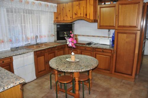 Welcoming flat in a stunning montain scenery in Luzenac