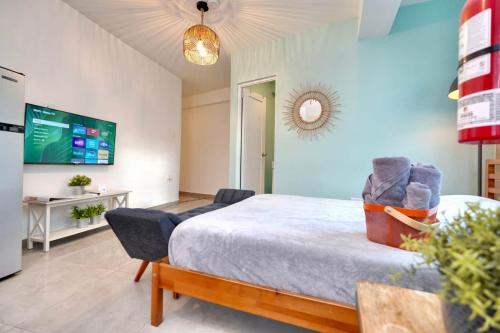 2.3 Balcony • Loft • Near City Plaza • 2nd Floor in Mayaguez