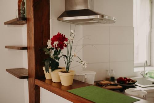 Dotări, Le Classique in Gueret