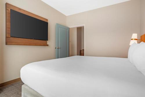 1 king bed, 1 sofa bed