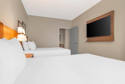 2 queen beds, 1 sofa bed