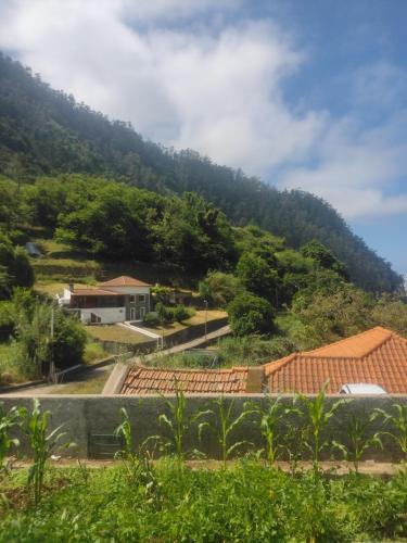 Casa Rosa 5