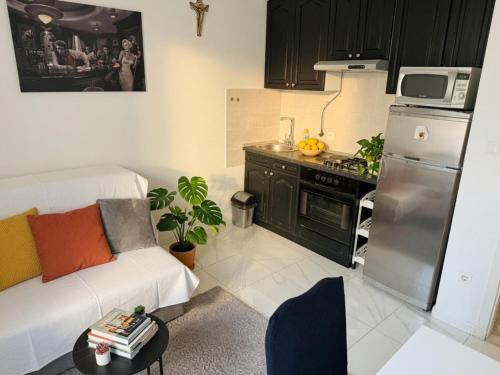 Luxury Apartment