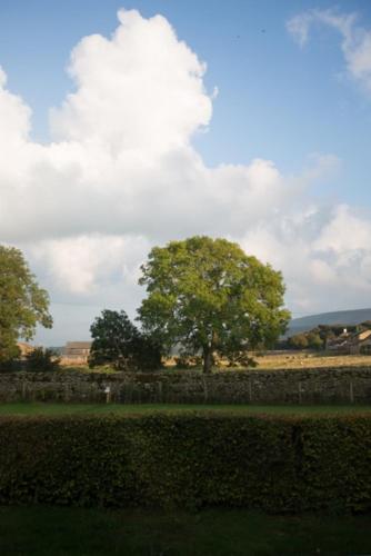 Colman's of Aysgarth Town Ends