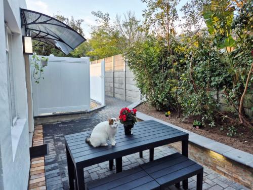 Kleinvallei 18 in สเตลเลนบอสช์