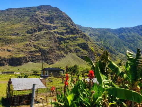 BEAUTIFUL COASTAL HOUSE ON A TRANQUIL ORGANIC FARM - El Hierro BEAUTIFUL COASTAL HOUSE ON A TRANQUIL ORGANIC FARM - El Hierro
