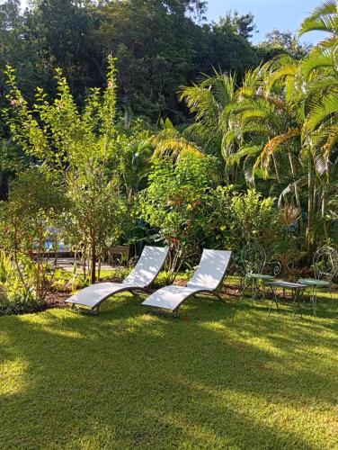 Villa Pave Fleurie, piscine in Morne-A-l'Eau