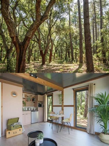 La forêt PALOMA, Ecolodge (La foret PALOMA, Ecolodge) in Leon
