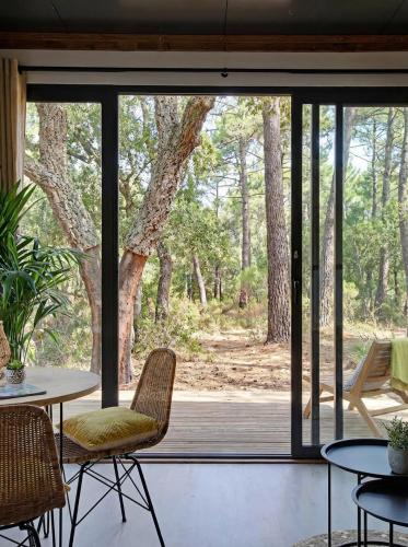 La forêt PALOMA, Ecolodge (La foret PALOMA, Ecolodge) in Leon