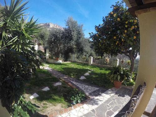Appartamenti Con Vista Panoramica