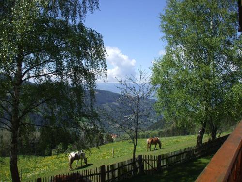 Bauernhof Pension Juri