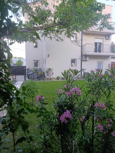 Dārzs, Apartmani Trivunov -Studio 1 in Petrovaradin