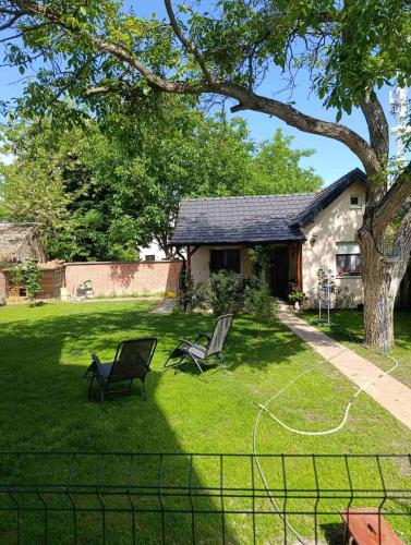 Dārzs, Apartmani Trivunov -Studio 1 in Petrovaradin