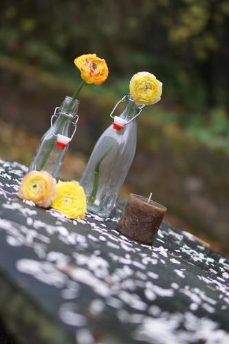 Hotel Haus Kronenthal - main image