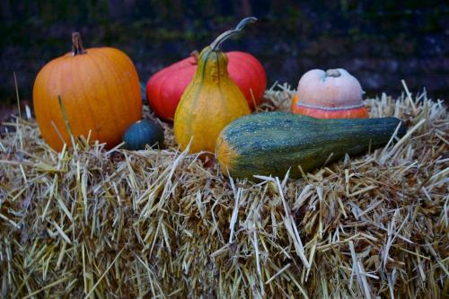 Hotel Haus Kronenthal - image 4