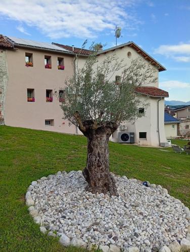 Viesnīcas āriene, Agriturismo BORRIERO Rooms & Wellness in Sospirolo