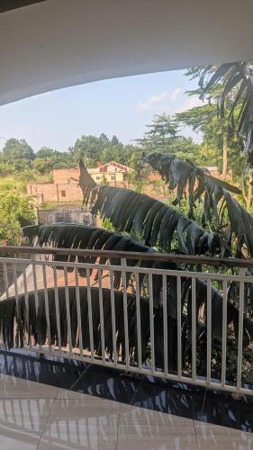 Lamaro view Gulu in Gulu