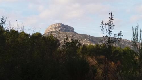 le Mas du Pin Vert