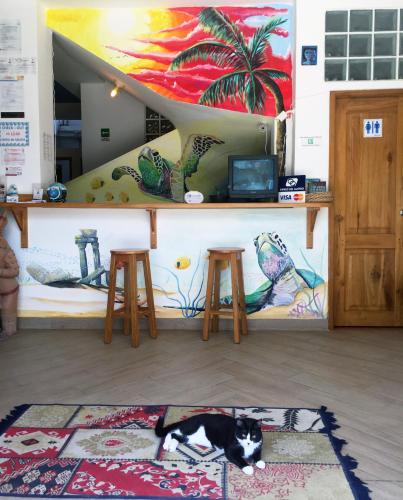 Entrada, Hostal Yaku Montanita in Montañita