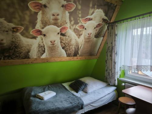 Pokoje i Apartamenty Regionalny Styl ul Króle 1a Zakopane, Zakopane