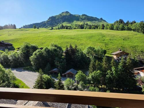 Appartement T3 avec balcon au Chinaillon