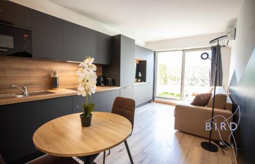 Sunny Flat in Juan les pins