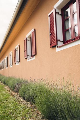 Hotelli välisilme, Geigenhof in Ilz