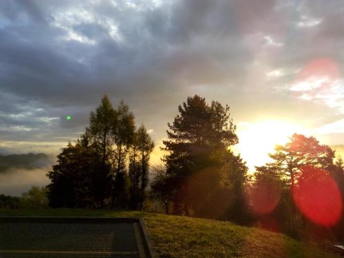 Brzozowe Wzgórze Solina 