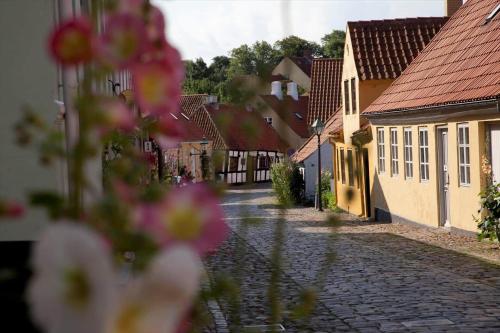 8491-Ebeltoft-Staerevej-17 - image 5