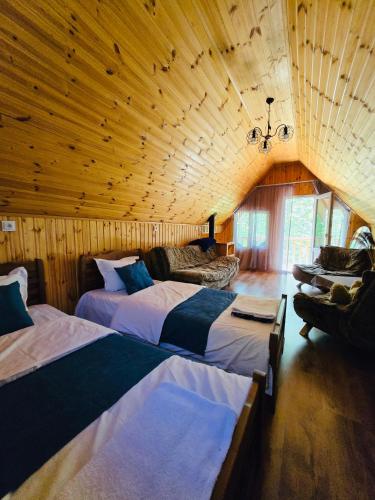 DEDULETI დედულეთი in Ambrolauri