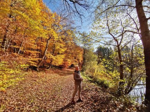 Viesnīcas āriene, Kleine Auszeit Eifel in Udler