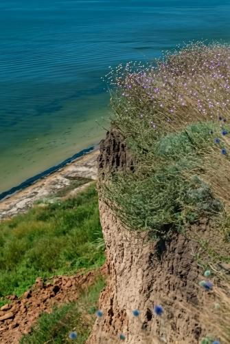Beach, Апартаменти Люкс - Тераса in Koblevo