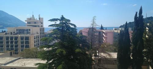 Modern sea view studio with terrace five min to beach