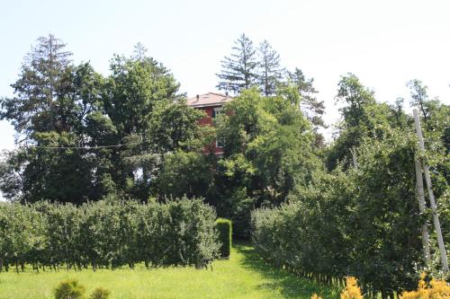 Viesnīcas āriene, Villa Rosa since 1914, Brenta Dolomite in Terres