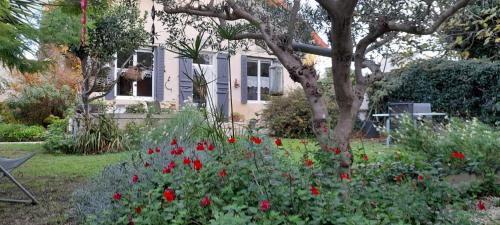 Maison de vacances chez Tine - Location saisonnière - Châteaurenard