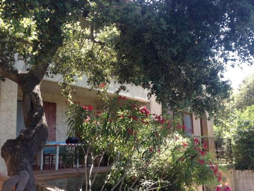 Giens -Grand rez de Jardin